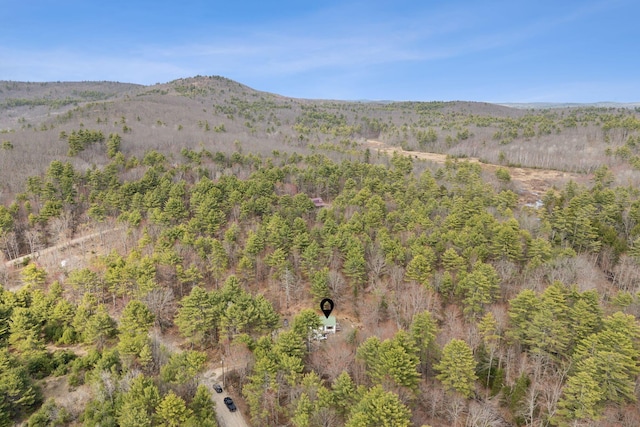 mountain view featuring a wooded view