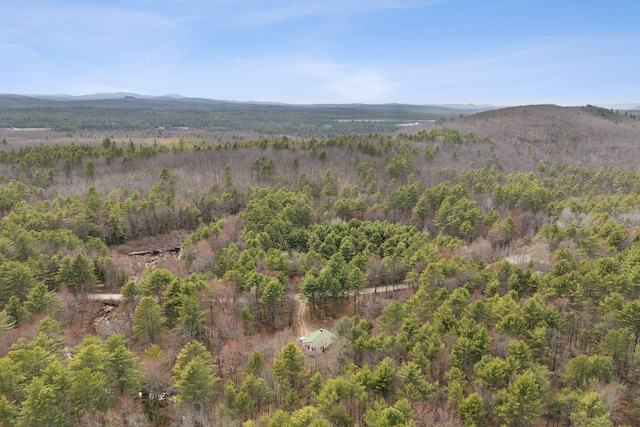 property view of mountains with a wooded view