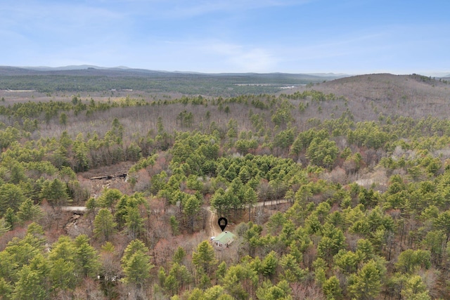 mountain view with a view of trees
