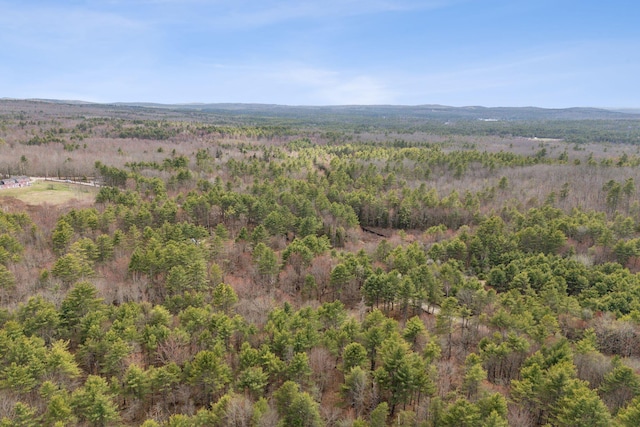 birds eye view of property featuring a forest view
