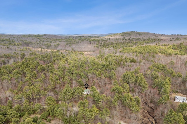 property view of mountains with a wooded view