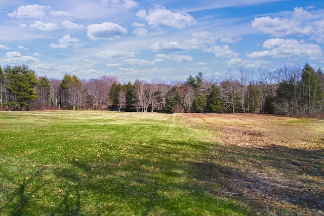 view of yard with a view of trees
