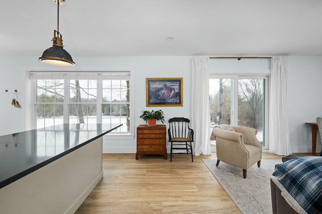 sitting room featuring light wood-style floors and a healthy amount of sunlight