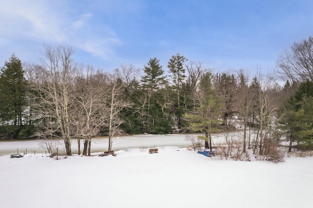 view of yard layered in snow