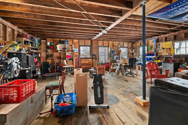 basement featuring hardwood / wood-style flooring