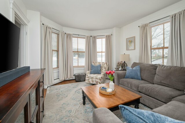 living room featuring wood finished floors and a healthy amount of sunlight