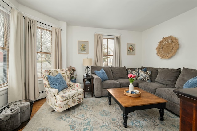 living area with wood finished floors