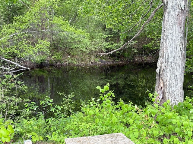 52-54 High St, North Berwick, ME 03906 - view of tree filled area featuring a water view