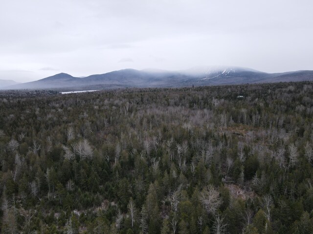 LOT34-A2 Dallas Hill Rd, Dallas Plt, ME 04970