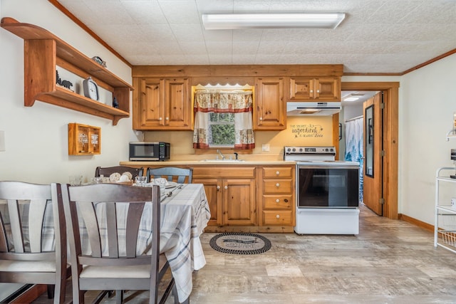 76 Cottage Shore Dr, Holden, ME 04429 - kitchen with white electric range oven, light countertops, stainless steel microwave, under cabinet range hood, and a sink