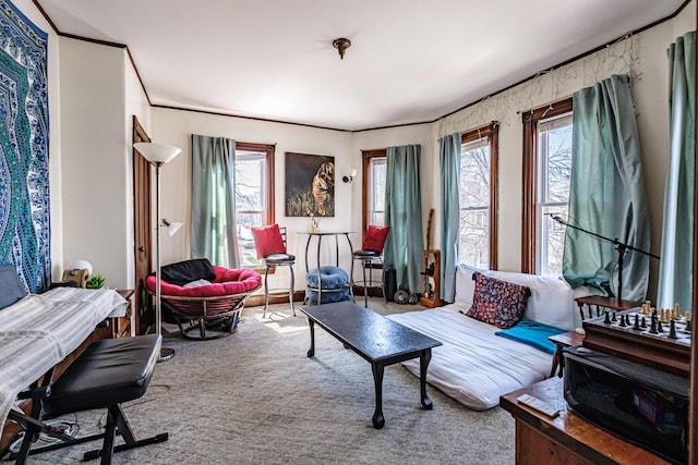 carpeted living area with crown molding