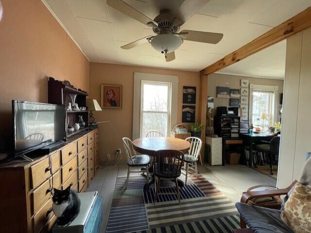 dining area featuring a ceiling fan