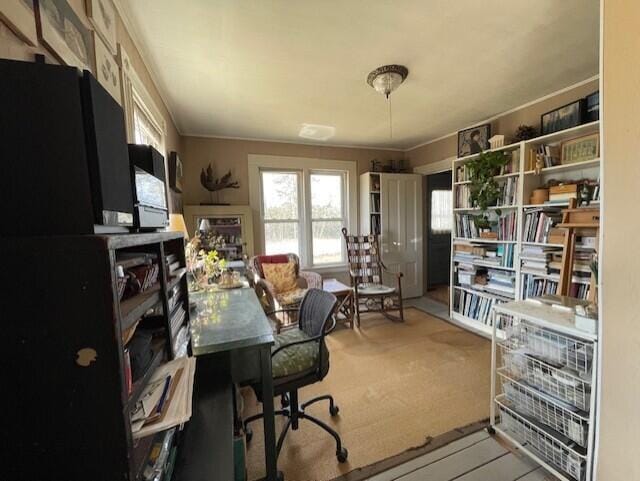 view of carpeted home office