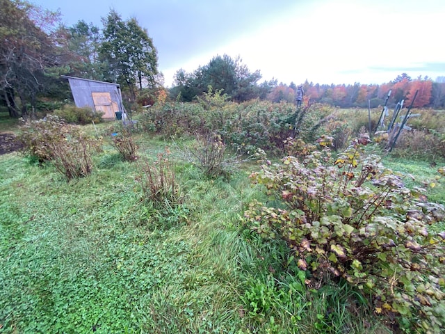 1361 Pleasant St, Blue Hill, ME 04614 - view of yard