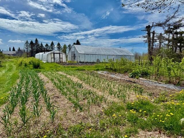 1361 Pleasant St, Blue Hill, ME 04614 - view of yard featuring an outbuilding