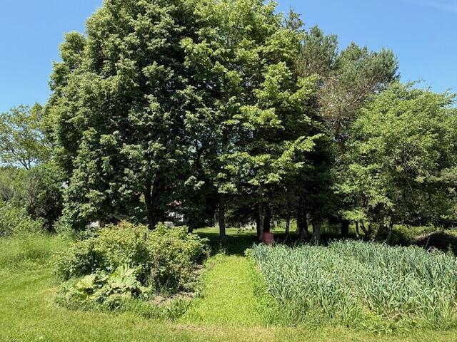 1361 Pleasant St, Blue Hill, ME 04614 - photo 29