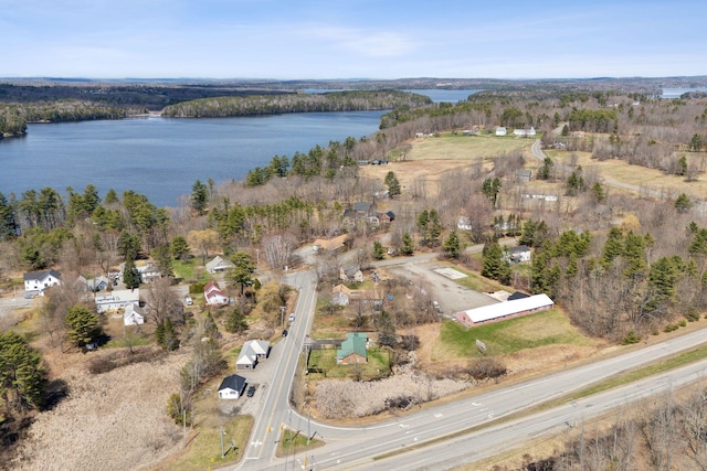 bird's eye view featuring a water view and a view of trees