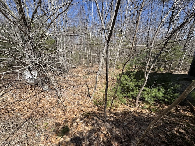 11 Dragonfly Dr, Windham, ME 04062 - view of nature