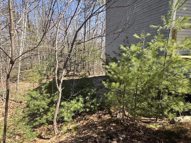 11 Dragonfly Dr, Windham, ME 04062 - view of nature