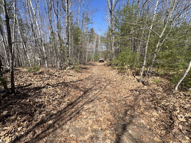 11 Dragonfly Dr, Windham, ME 04062 - view of nature featuring a forest view