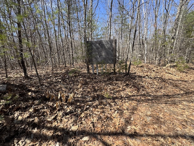 11 Dragonfly Dr, Windham, ME 04062 - view of nature