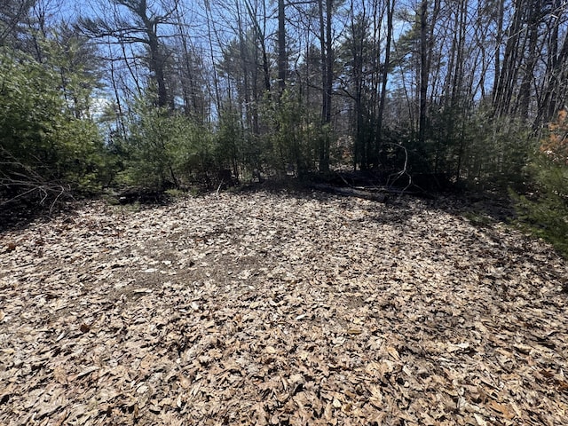 11 Dragonfly Dr, Windham, ME 04062 - view of nature
