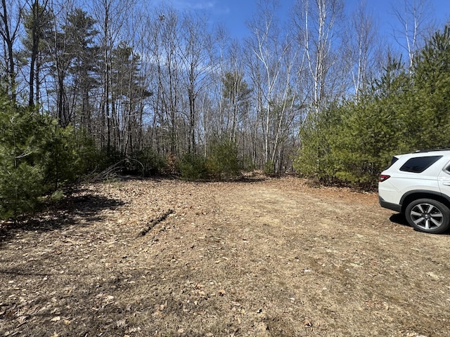 11 Dragonfly Dr, Windham, ME 04062 - view of yard with a forest view