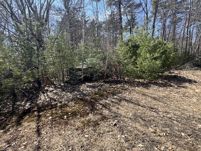 11 Dragonfly Dr, Windham, ME 04062 - view of nature