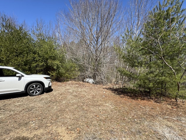 11 Dragonfly Dr, Windham, ME 04062 - view of yard