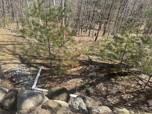 11 Dragonfly Dr, Windham, ME 04062 - view of landscape