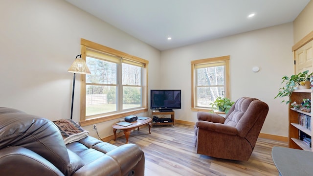 295 Cobb Hill Rd, Otisfield, ME 04270 - living area featuring baseboards, a wealth of natural light, and light wood-type flooring