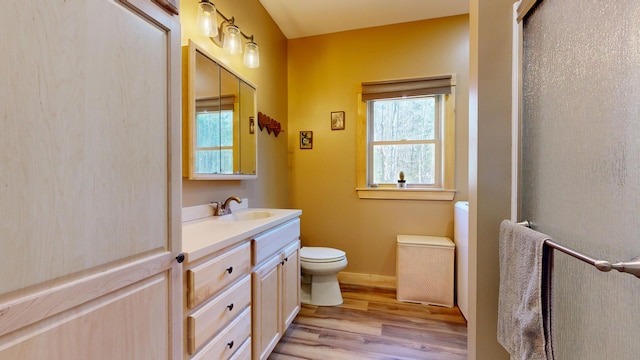 295 Cobb Hill Rd, Otisfield, ME 04270 - bathroom with toilet, a wealth of natural light, wood finished floors, and vanity