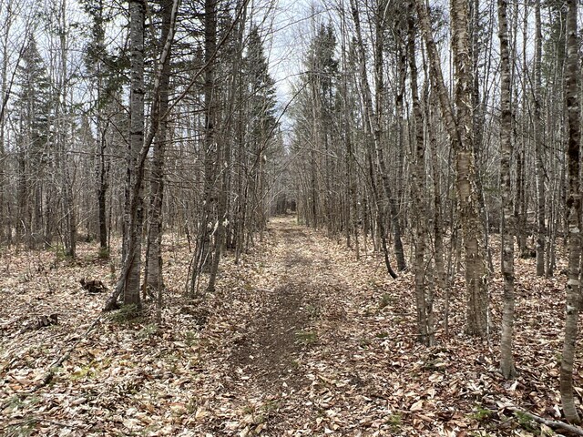 view of landscape with a forest view