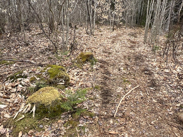 view of landscape