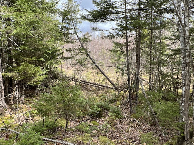 view of local wilderness with a view of trees