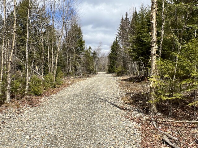 view of street with a forest view