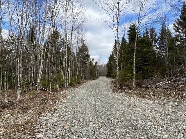 view of road with a forest view