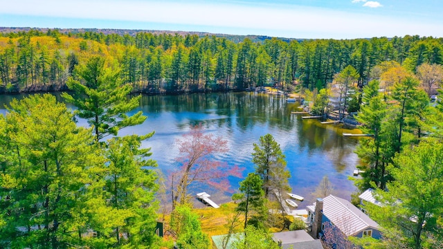 54 Boulder Rd, Raymond, ME 04071 - water view featuring a forest