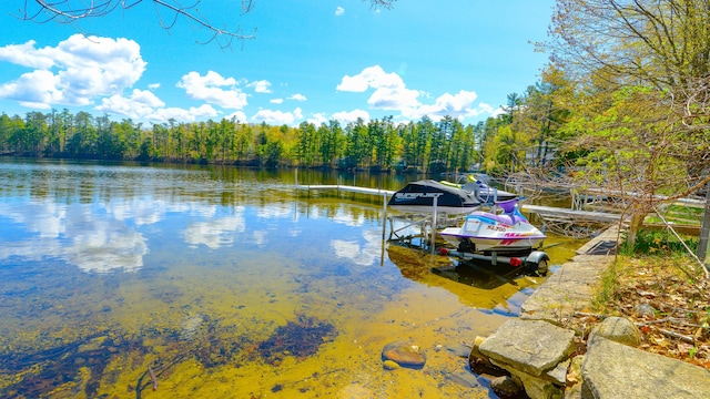 54 Boulder Rd, Raymond, ME 04071 - dock with a water view and a view of trees