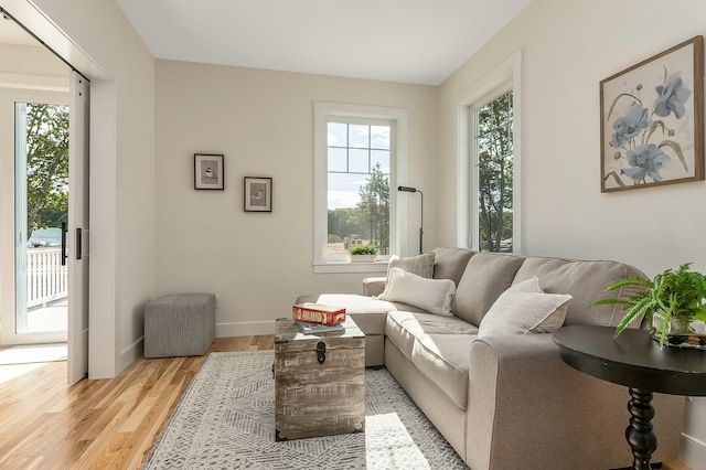 37 Cascade Cir Unit 26, Kennebunk, ME 04043 - living area with baseboards, a healthy amount of sunlight, and light wood-type flooring