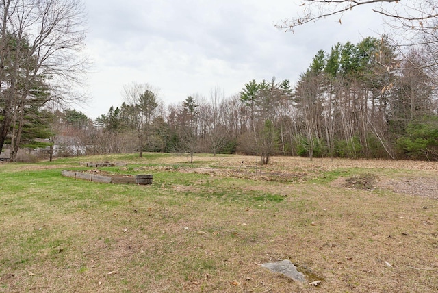 view of yard with a wooded view