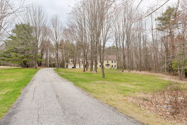 view of road with aphalt driveway