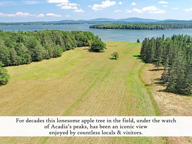 607 Oak Point Rd, Trenton, ME 04605 - photo 4