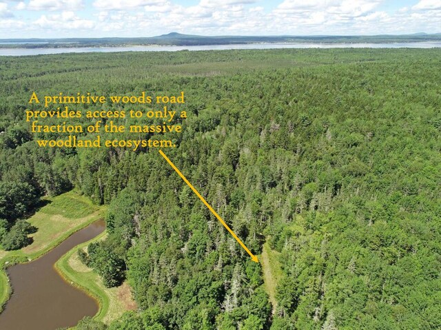 607 Oak Point Rd, Trenton, ME 04605 - photo 11