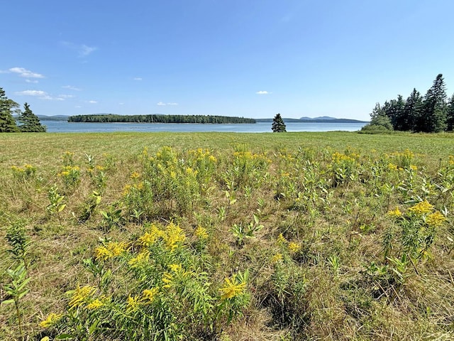 607 Oak Point Rd, Trenton, ME 04605 - photo 161