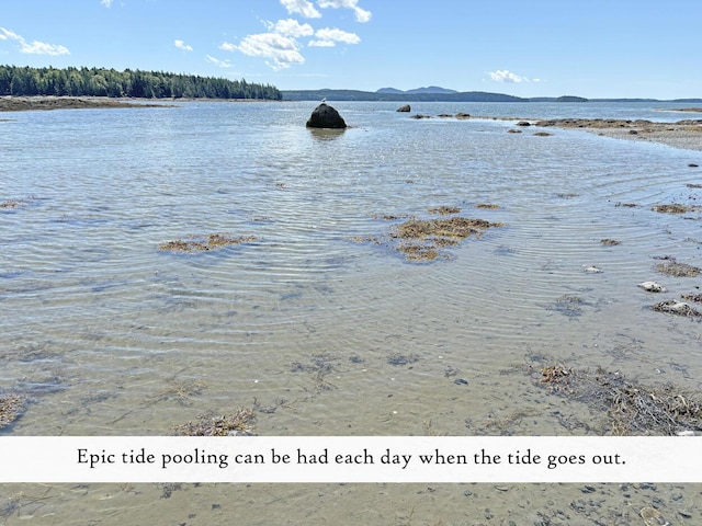 607 Oak Point Rd, Trenton, ME 04605 - photo 168