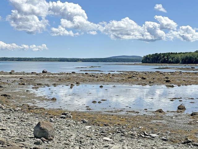 607 Oak Point Rd, Trenton, ME 04605 - photo 169