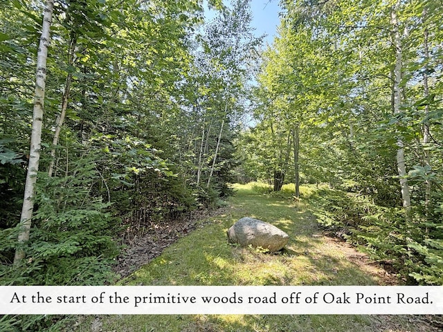 607 Oak Point Rd, Trenton, ME 04605 - photo 173