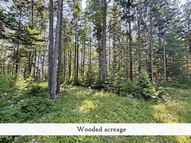607 Oak Point Rd, Trenton, ME 04605 - photo 175