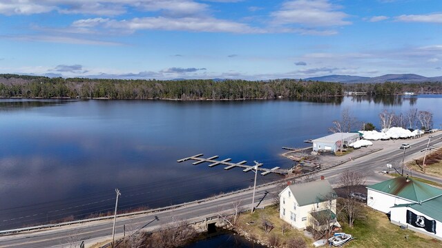 LOT1 Stone Ln, Norway, ME 04268 - photo 16